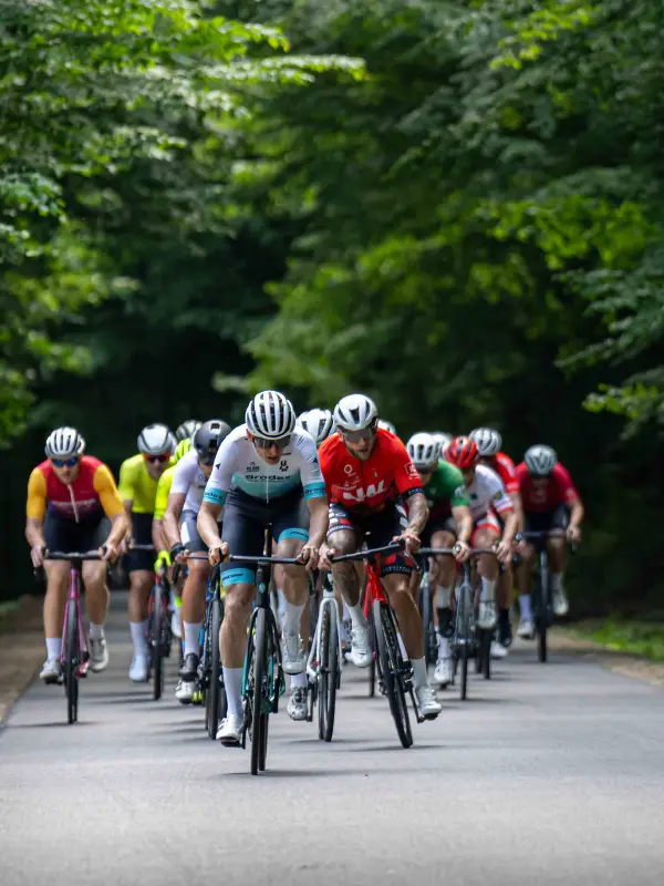 Zdjecie dla ozdoby Jura Sport Events